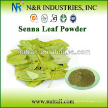 Natural and Pure Plant Powder Senna Powder and Senna Leaf Extract from Senna Leaf
